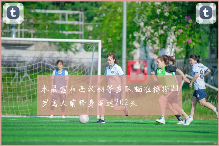 水晶宫和西汉姆等多队瞄准梅斯21岁高大前锋身高达202米
