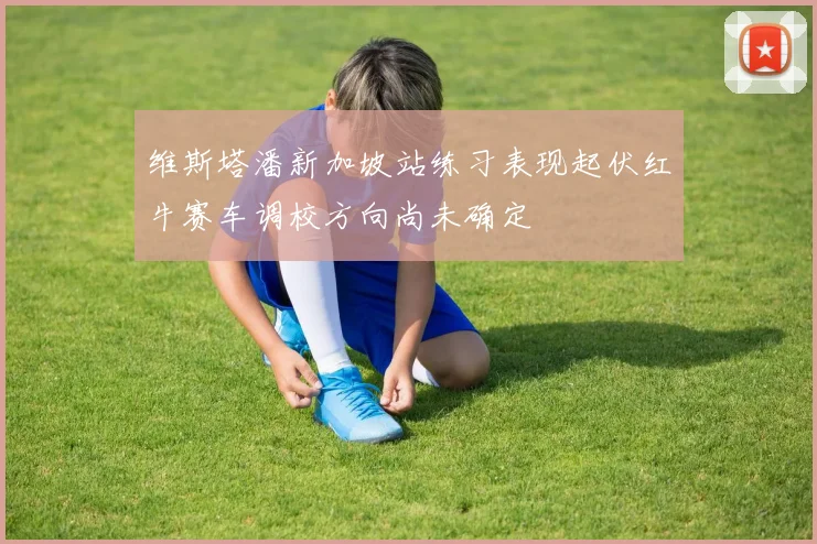 维斯塔潘新加坡站练习表现起伏红牛赛车调校方向尚未确定